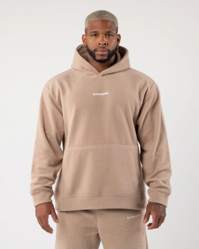 Sudadera con Capucha Alphalete King Hoodie Hombre Linen | CSJKOW-873