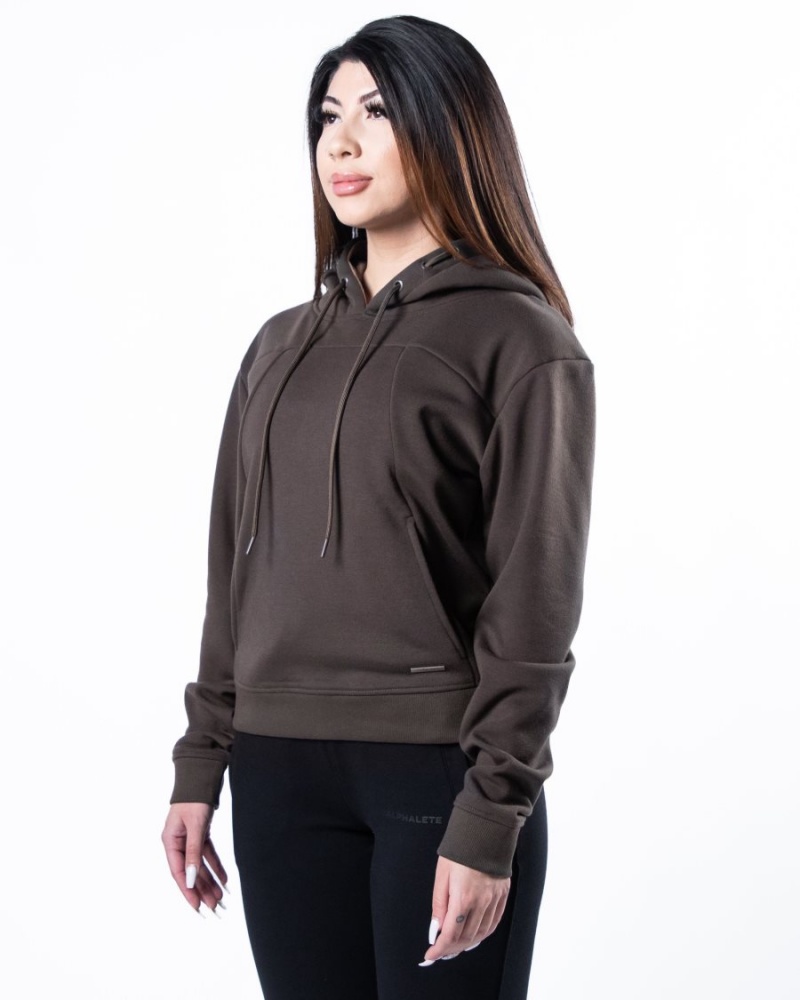 Sudadera con Capucha Alphalete Monarch Hoodie Mujer Marrones Oscuro | MYPBFJ-087