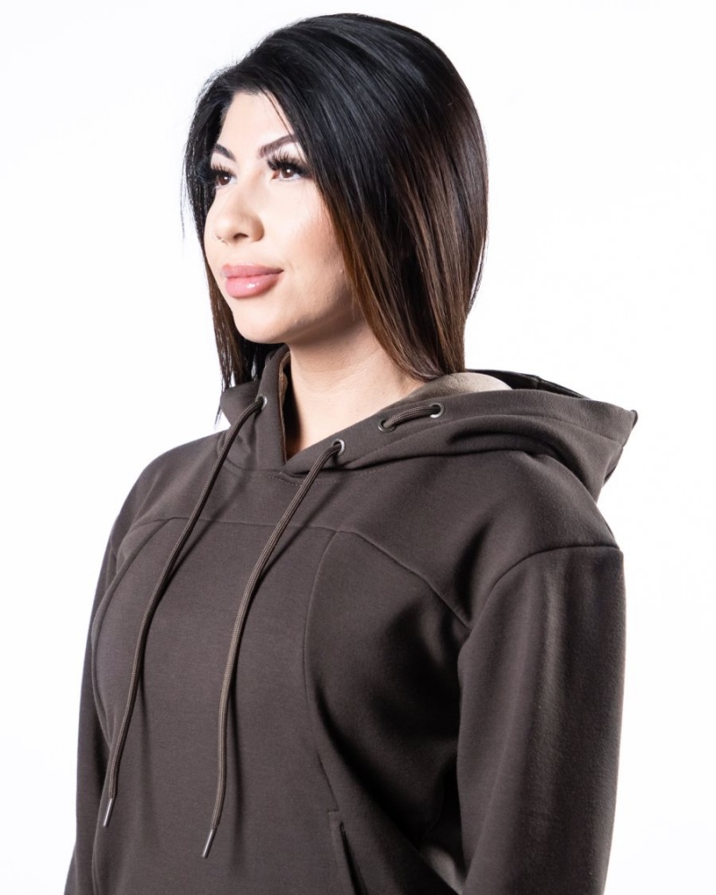 Sudadera con Capucha Alphalete Monarch Hoodie Mujer Marrones Oscuro | MYPBFJ-087