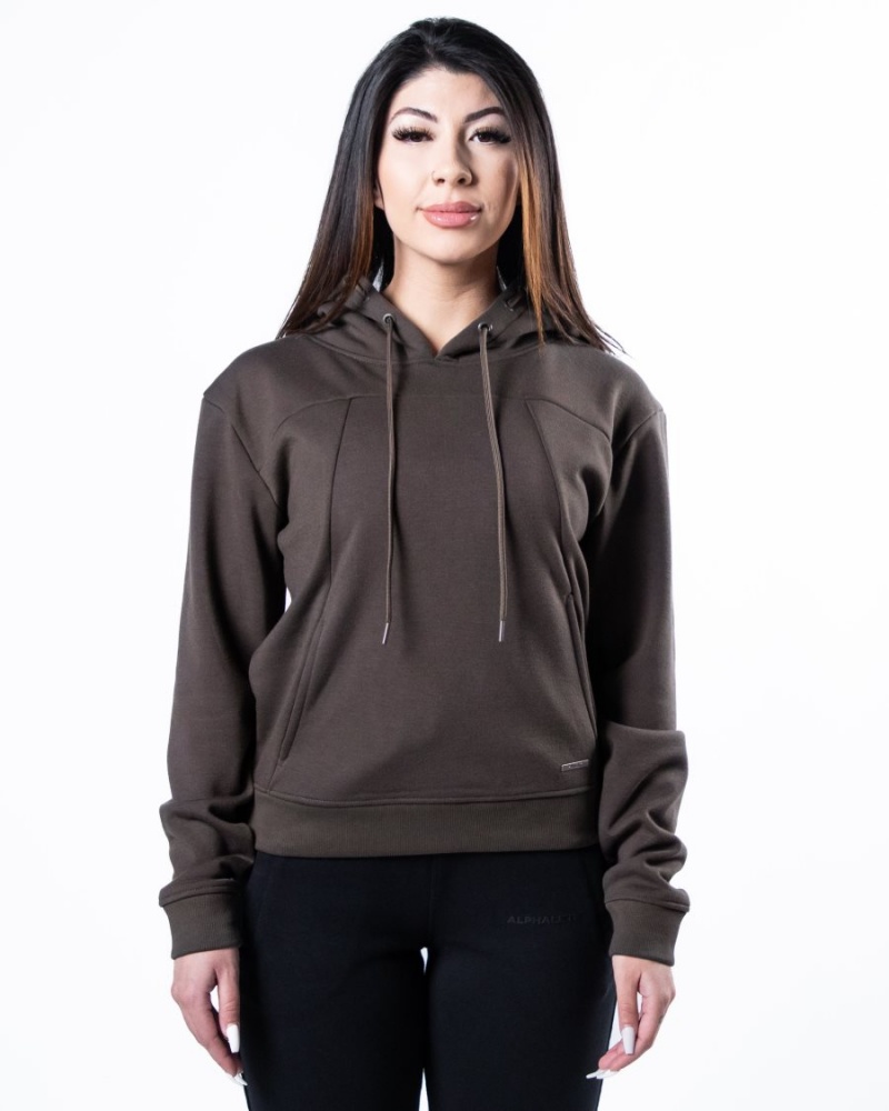 Sudadera con Capucha Alphalete Monarch Hoodie Mujer Marrones Oscuro | MYPBFJ-087