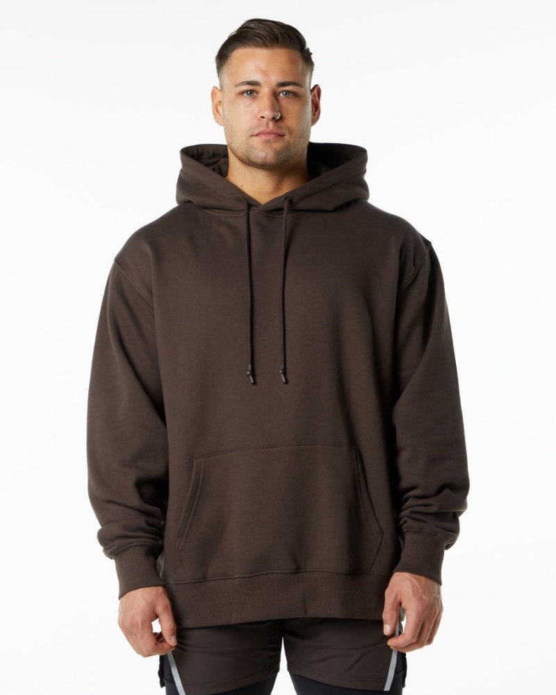 Sudadera con Capucha Alphalete Unity Hoodie Hombre Marrones | MRHELV-386