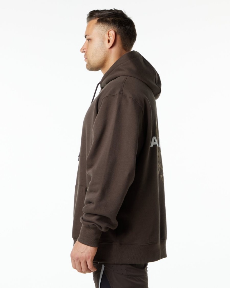 Sudadera con Capucha Alphalete Unity Hoodie Hombre Marrones | MRHELV-386