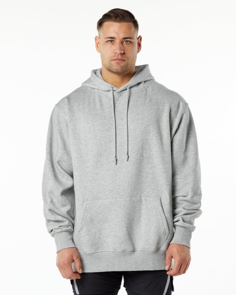 Sudadera con Capucha Alphalete Unity Hoodie Hombre Gris | XYLJCV-986