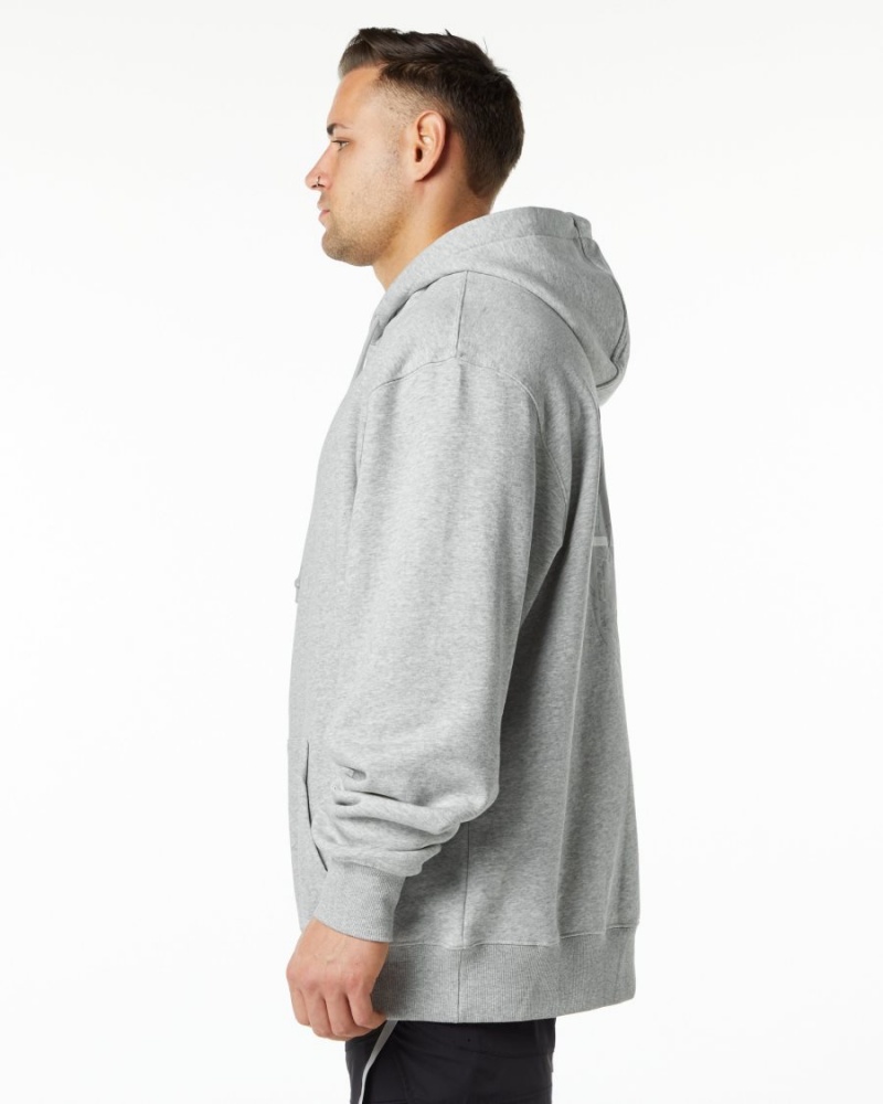 Sudadera con Capucha Alphalete Unity Hoodie Hombre Gris | XYLJCV-986