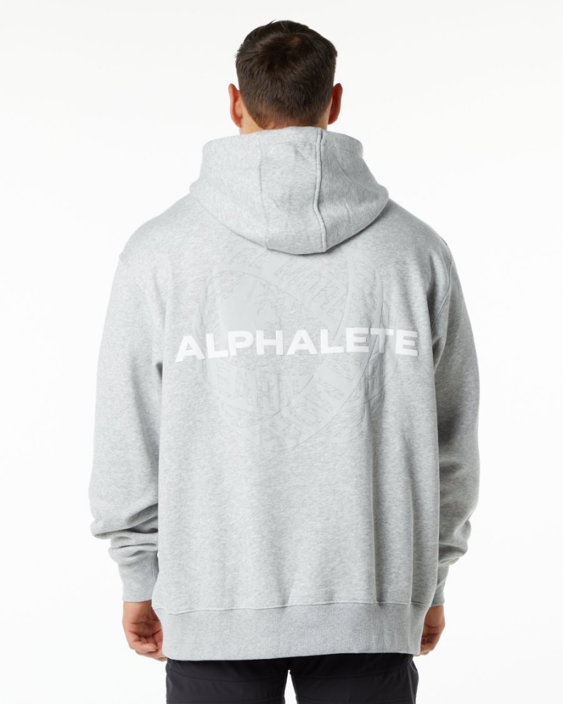 Sudadera con Capucha Alphalete Unity Hoodie Hombre Gris | XYLJCV-986