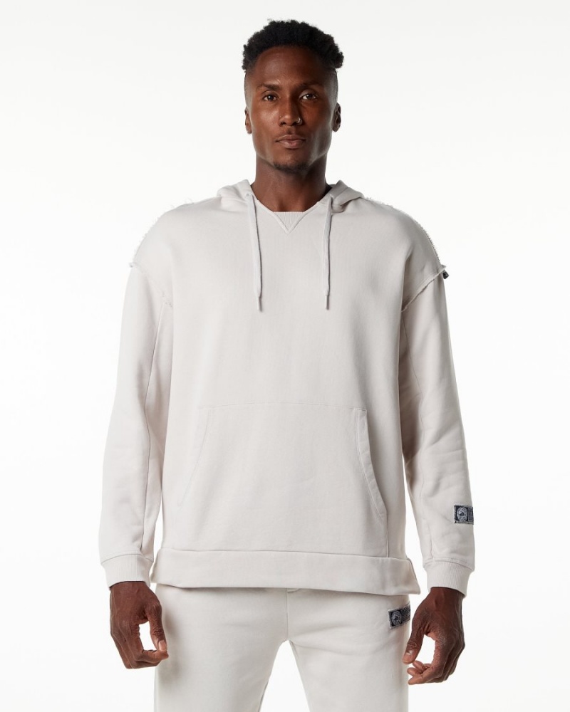 Sudadera con Capucha Alphalete Very Terry Hoodie Hombre Moonstone | RJTQPE-745