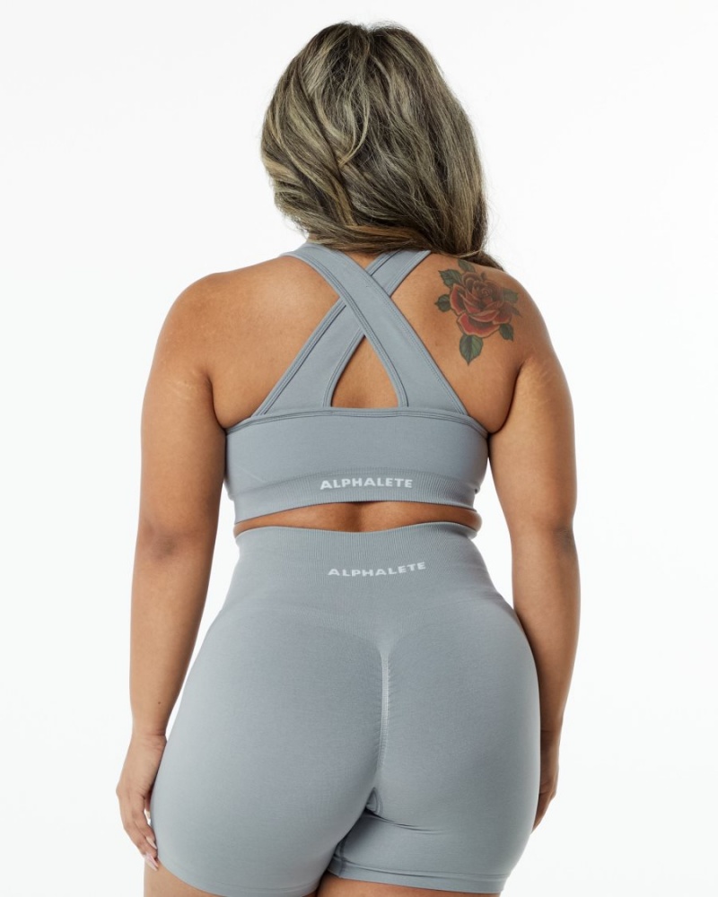 Sujetador Deportivo Alphalete Amplify Bra Mujer Gris | XGFCPR-712